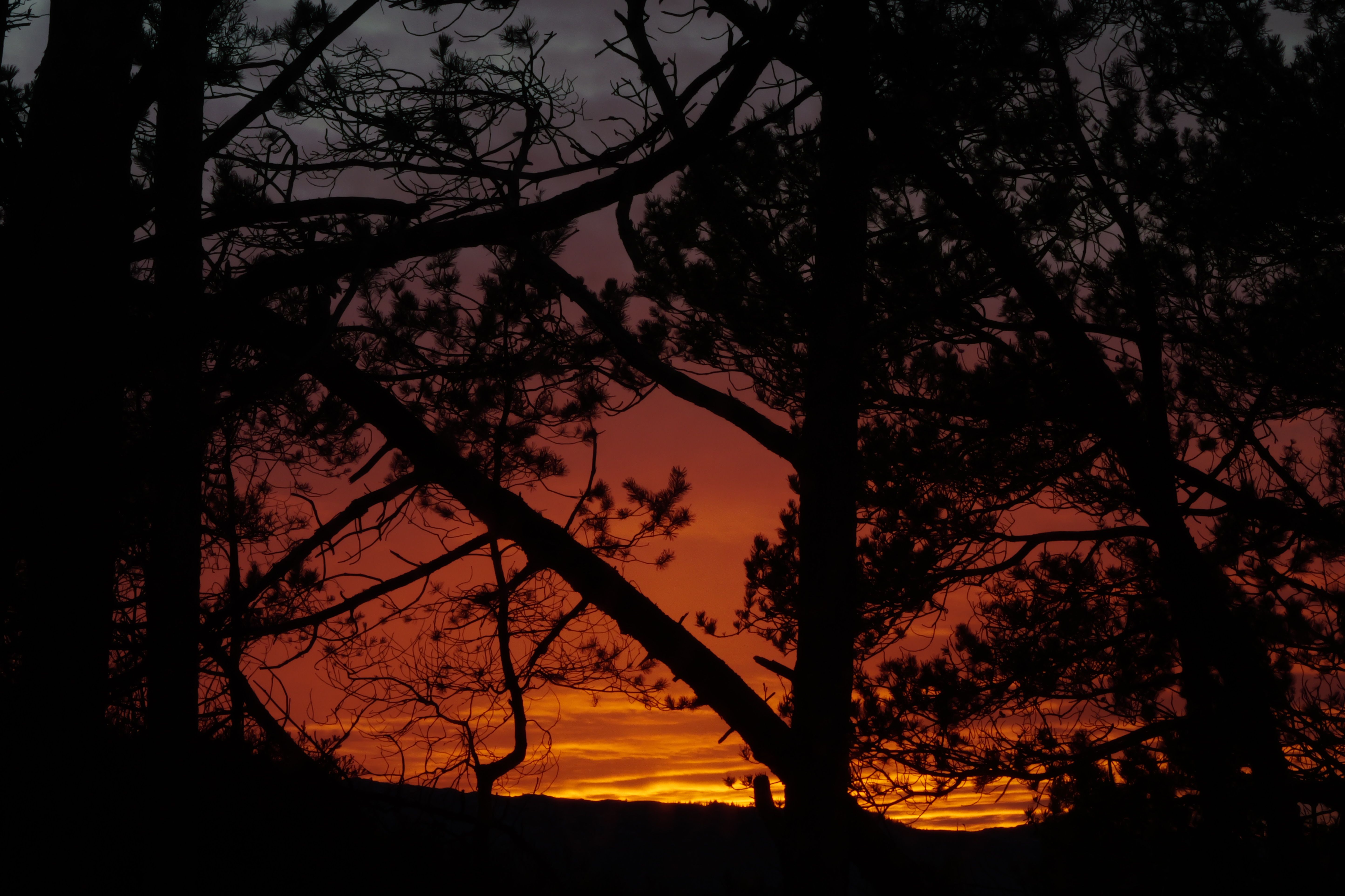 Floating Villa Bergen