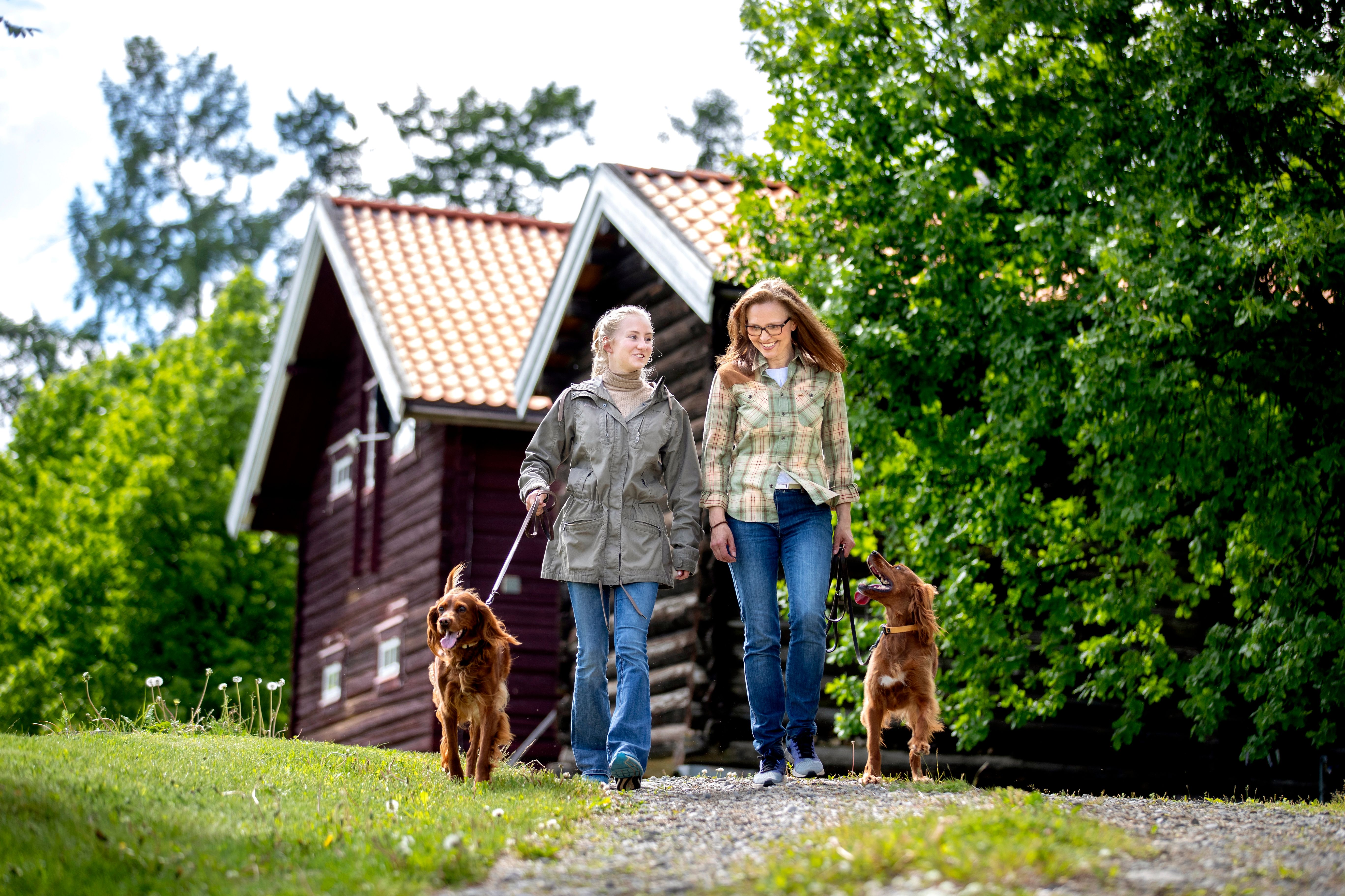 Stokke Nedre - Gjestegården ved Mjøsa. Turstien ned til Mjøsa.