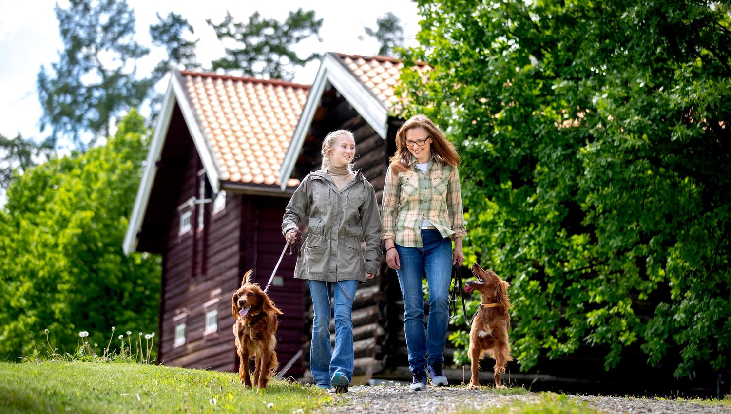 Stokke Nedre - Gjestegården ved Mjøsa. Turstien ned til Mjøsa.