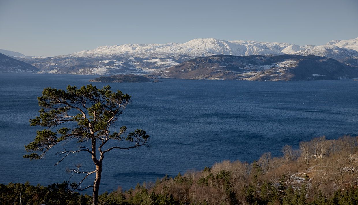 Panoramic view of Hardangerfjord and snow-covered mountains.