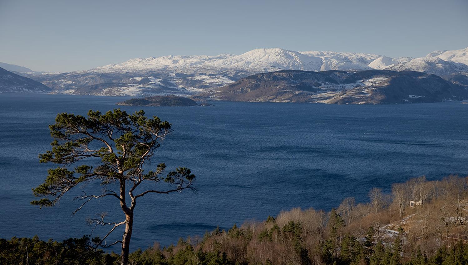Panoramic view of Hardangerfjord and snow-covered mountains.