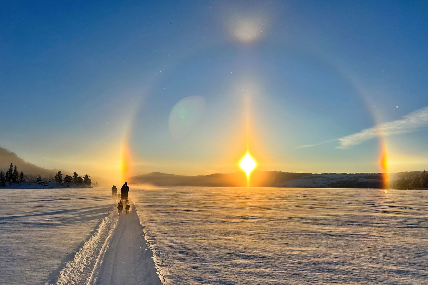Dog sledding team on a frozen lake against the setting sun with a halo