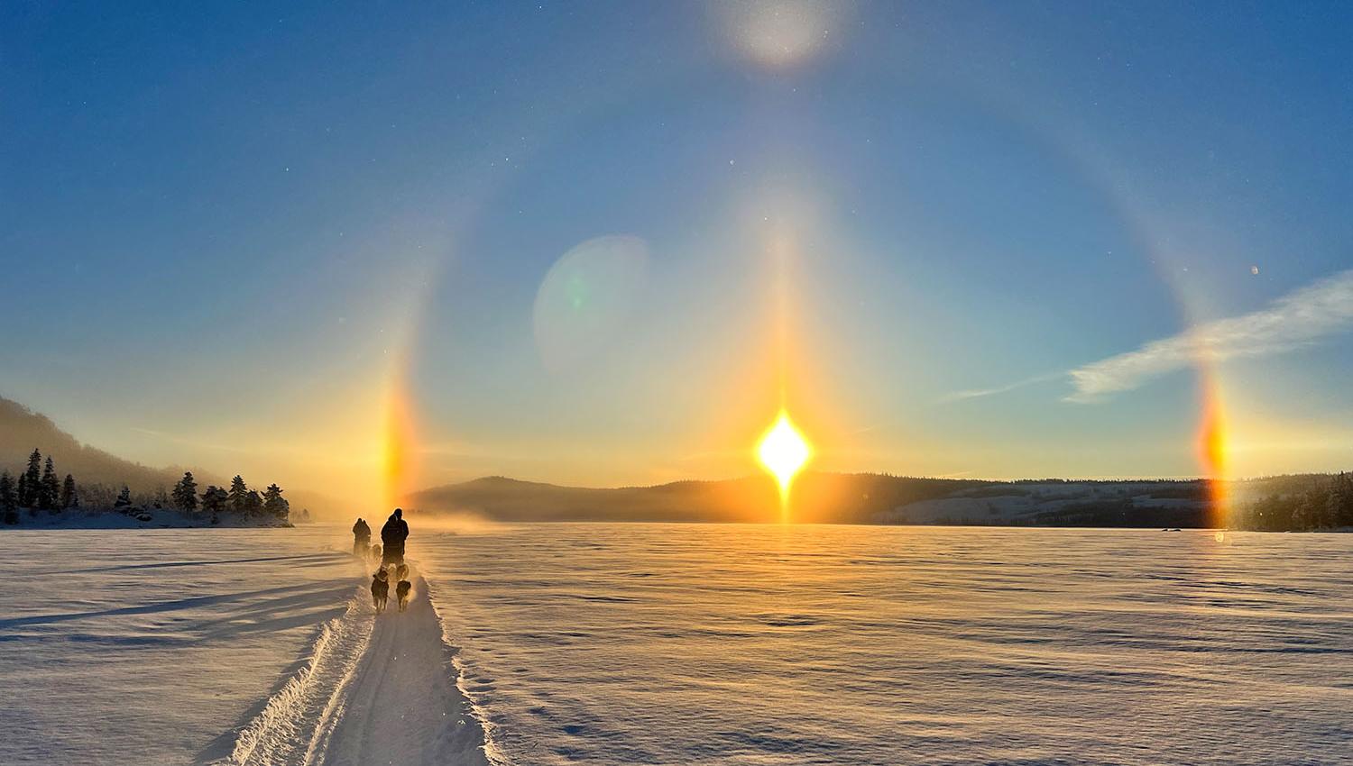 Dog sledding team on a frozen lake against the setting sun with a halo