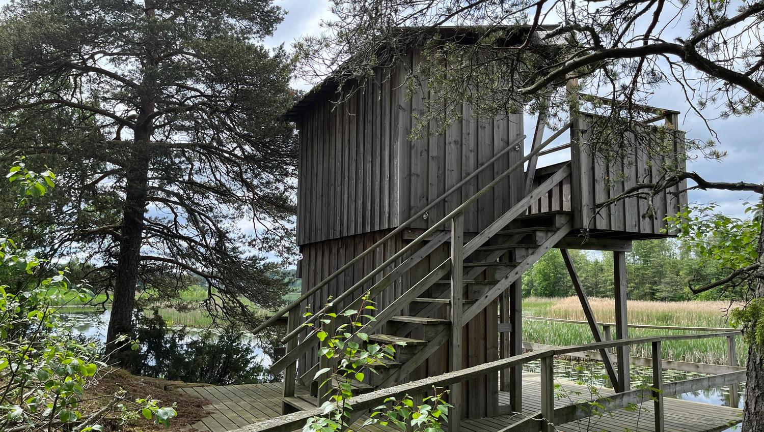 Bird watching tower