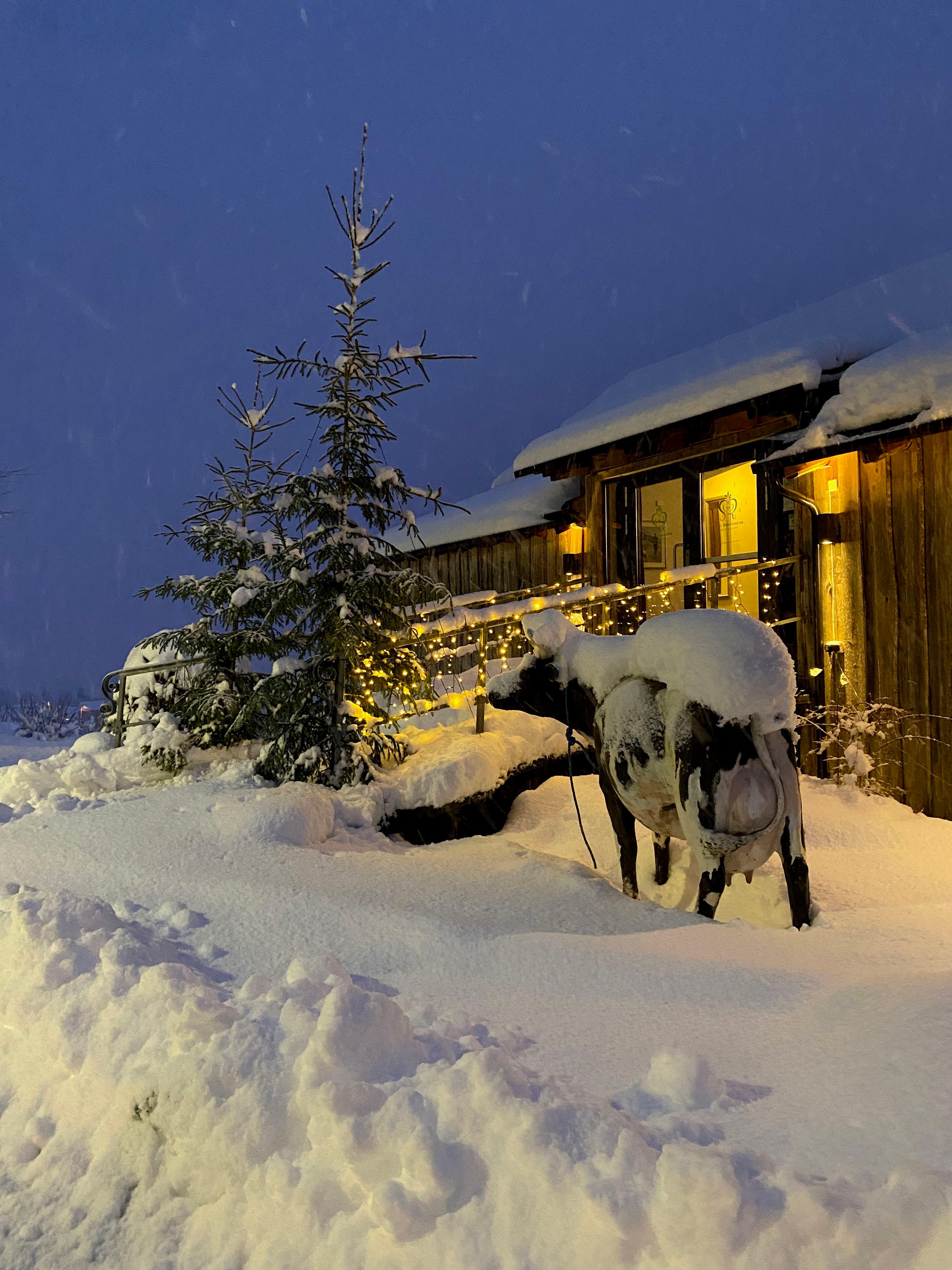 Store Ringheim Hotel & Restaurant, Voss