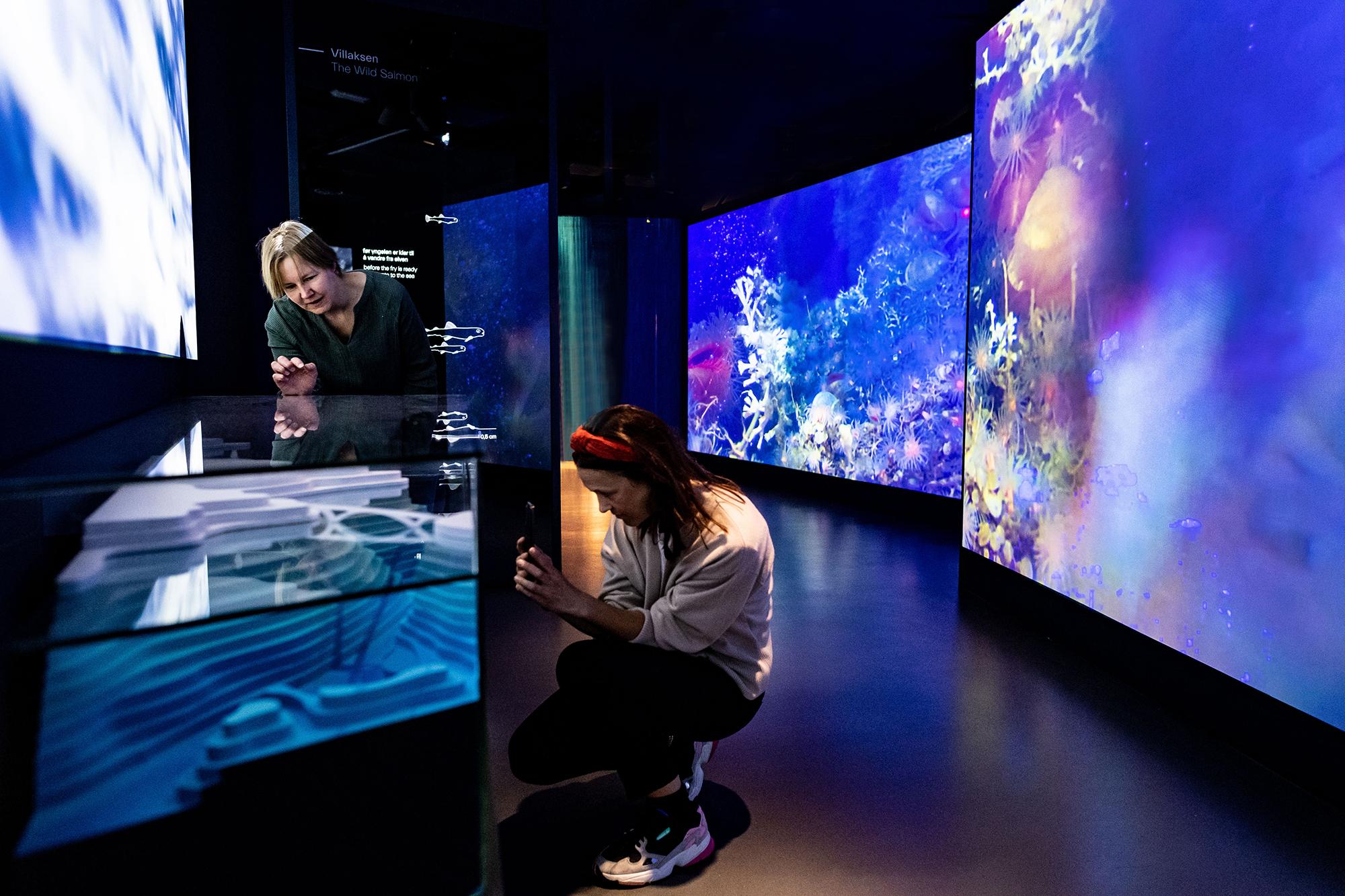 Store blå foto Thor Brødreskift_26_red resized