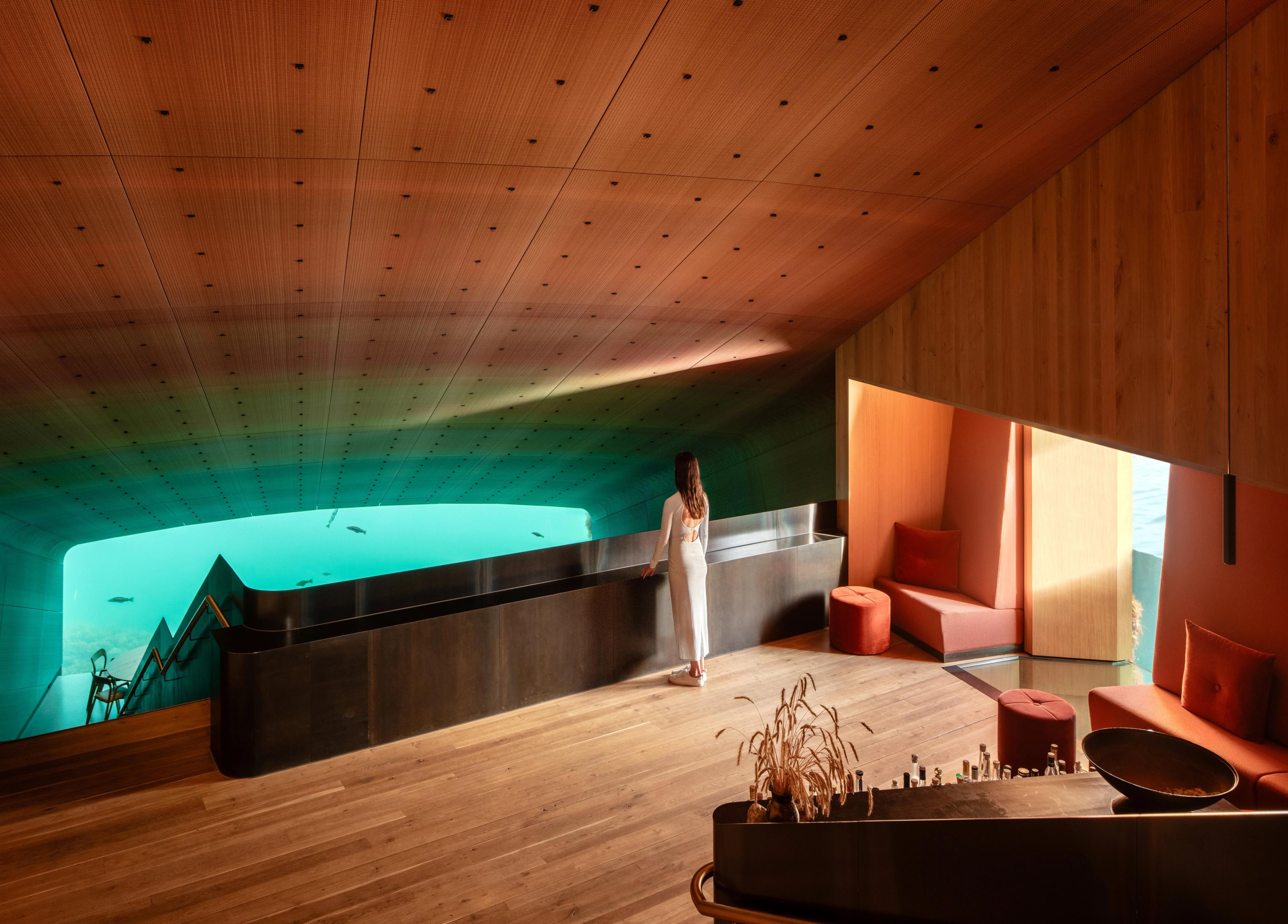 Overview of the restaurant Under