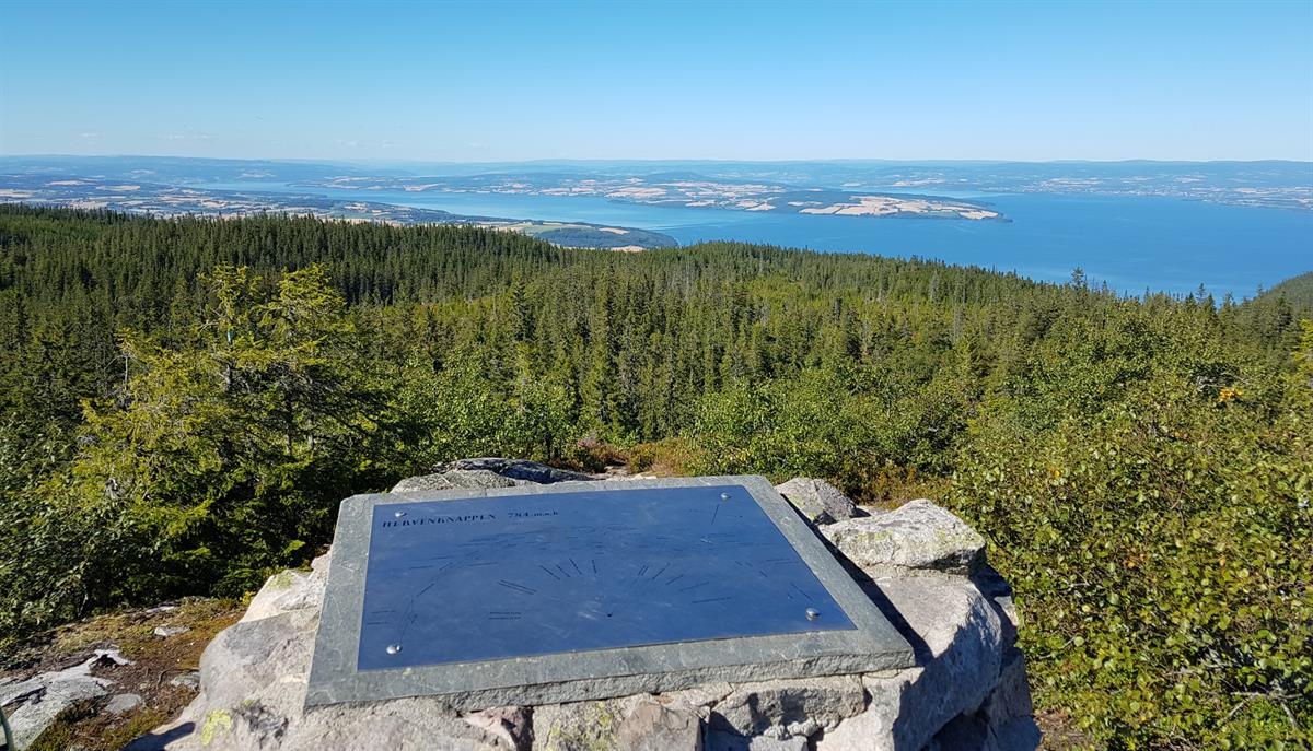 Hervenknappen nær Evjua Strandpark 2