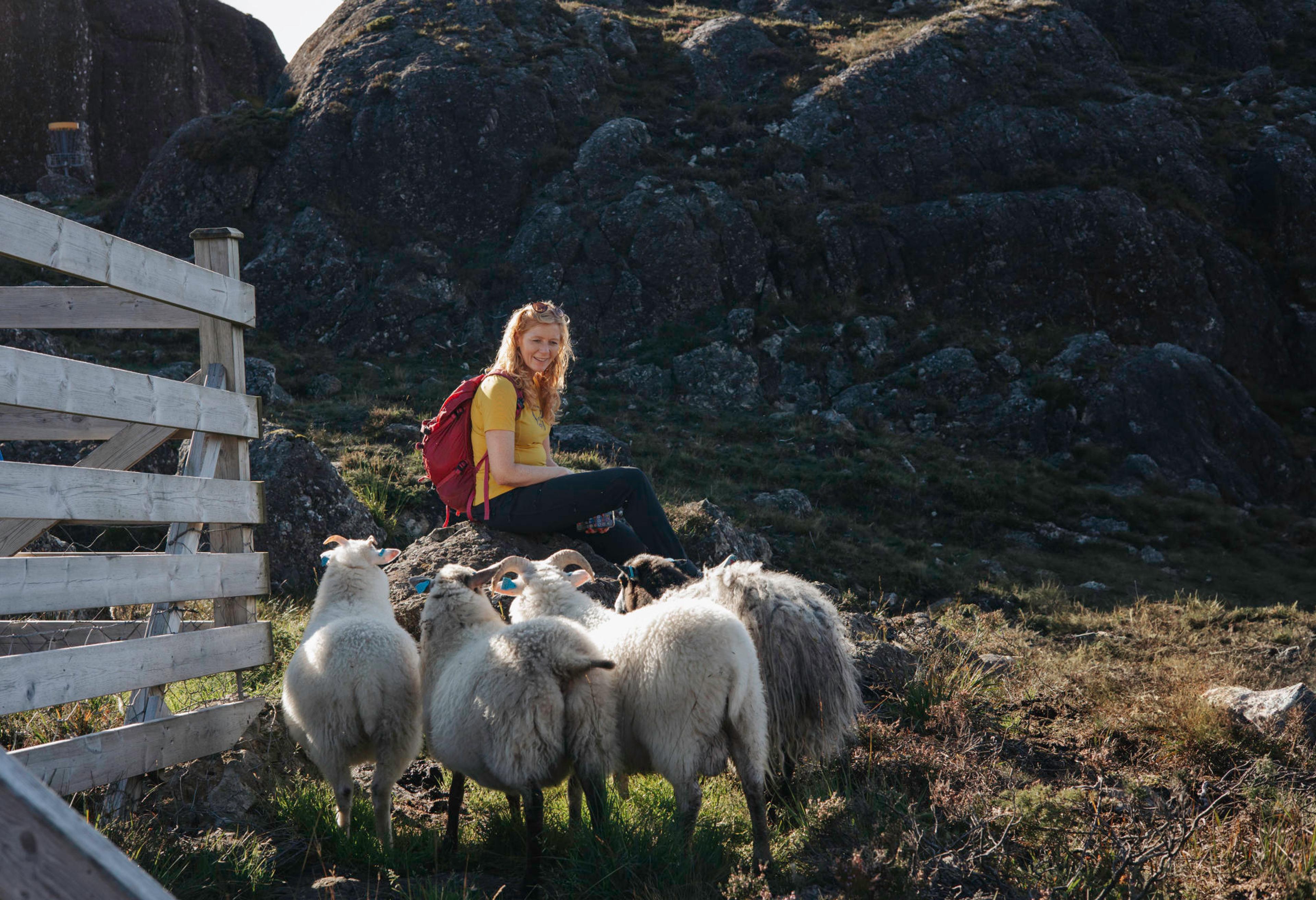 Ei dame sitter på ein stein. det er fire sauer som står og ser på henne. ho smiler og ser tilbake på sauene. ved siden av dei er det eit gjerdet, også er det fjell og lyng rundt.