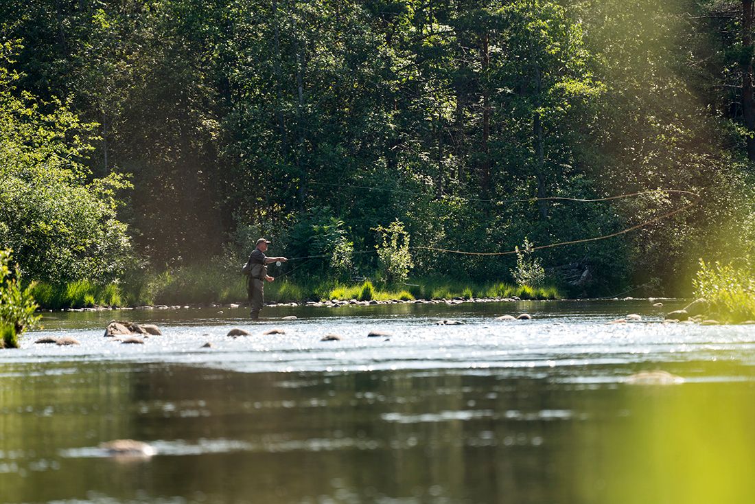 Fiske i Tokkeåi