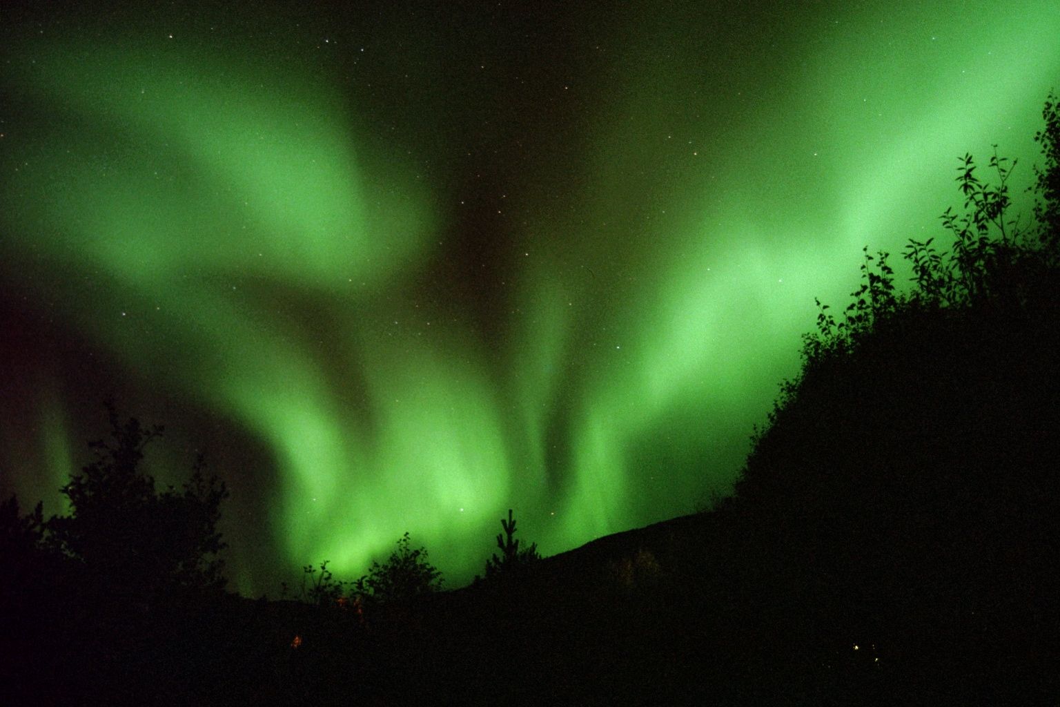 Nordlys. Foto Frode Jenssen 018