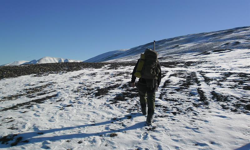 En guide med rifle og ryggsekk på ryggen som går gjennom et fjellandskap dekket i snø