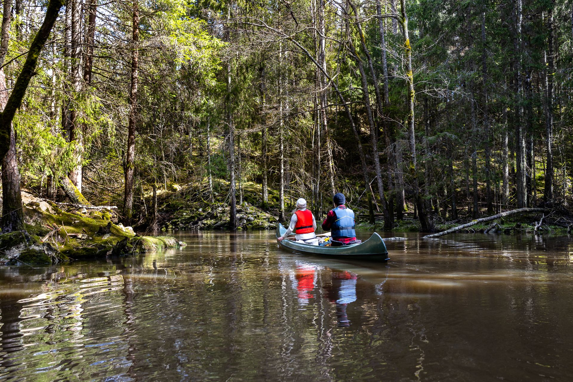 padler kano igjennom skogen