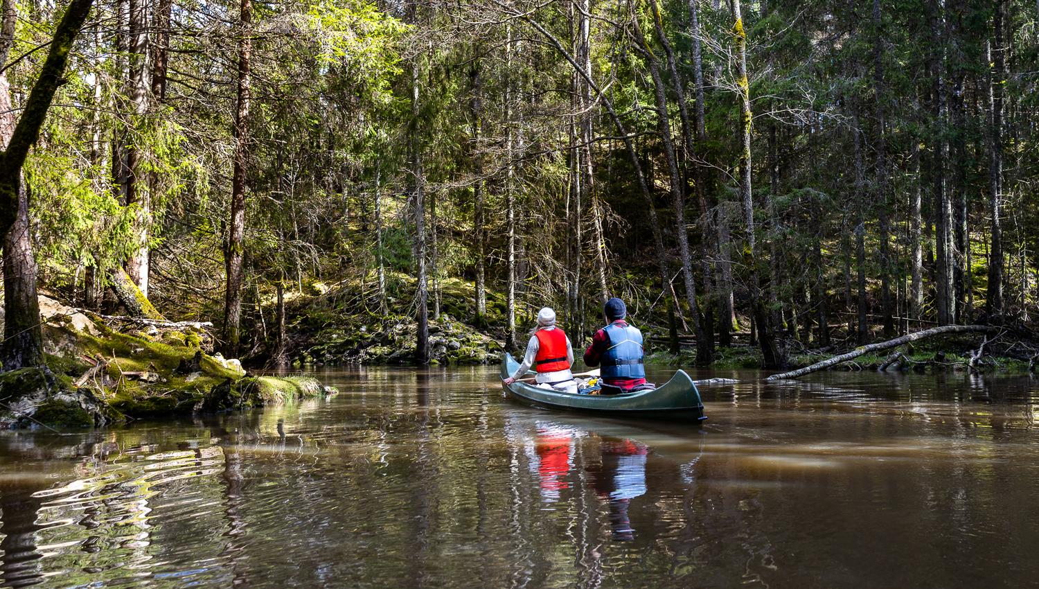 padler kano igjennom skogen