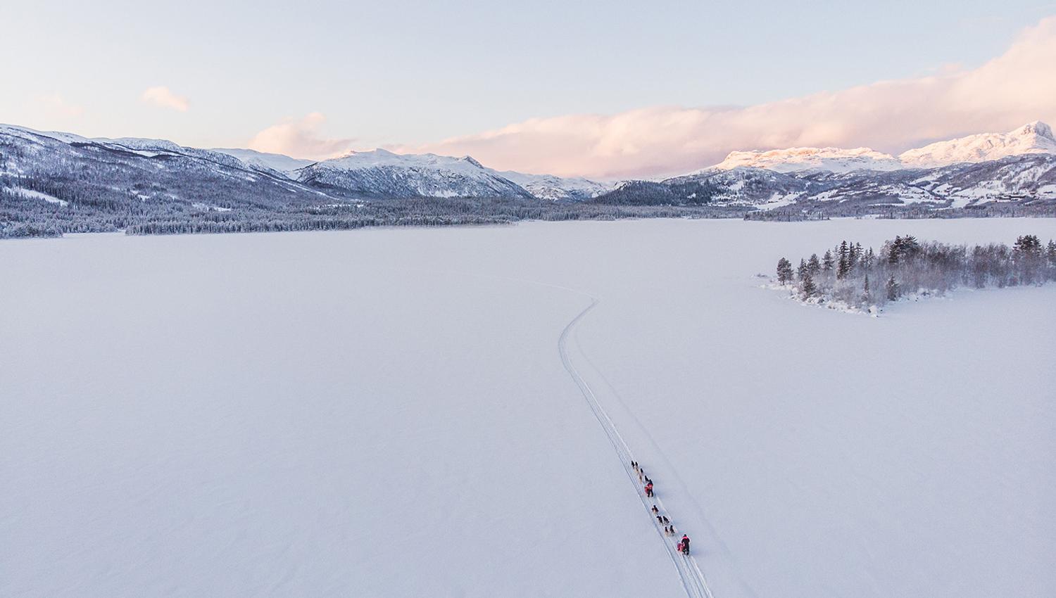 Hundekjøring sett fra lufta. Flotte omgivelser med fjell i horisonten. Nydelig vinterlys.