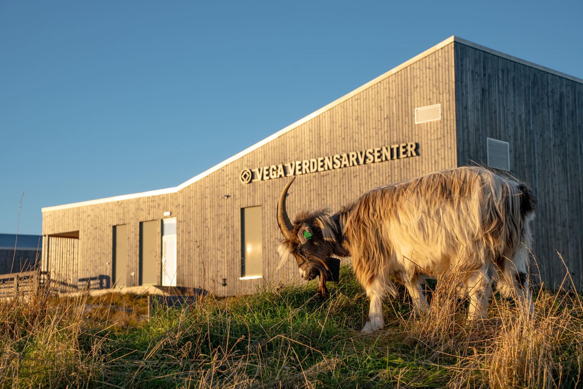 Vega World Heritage Center