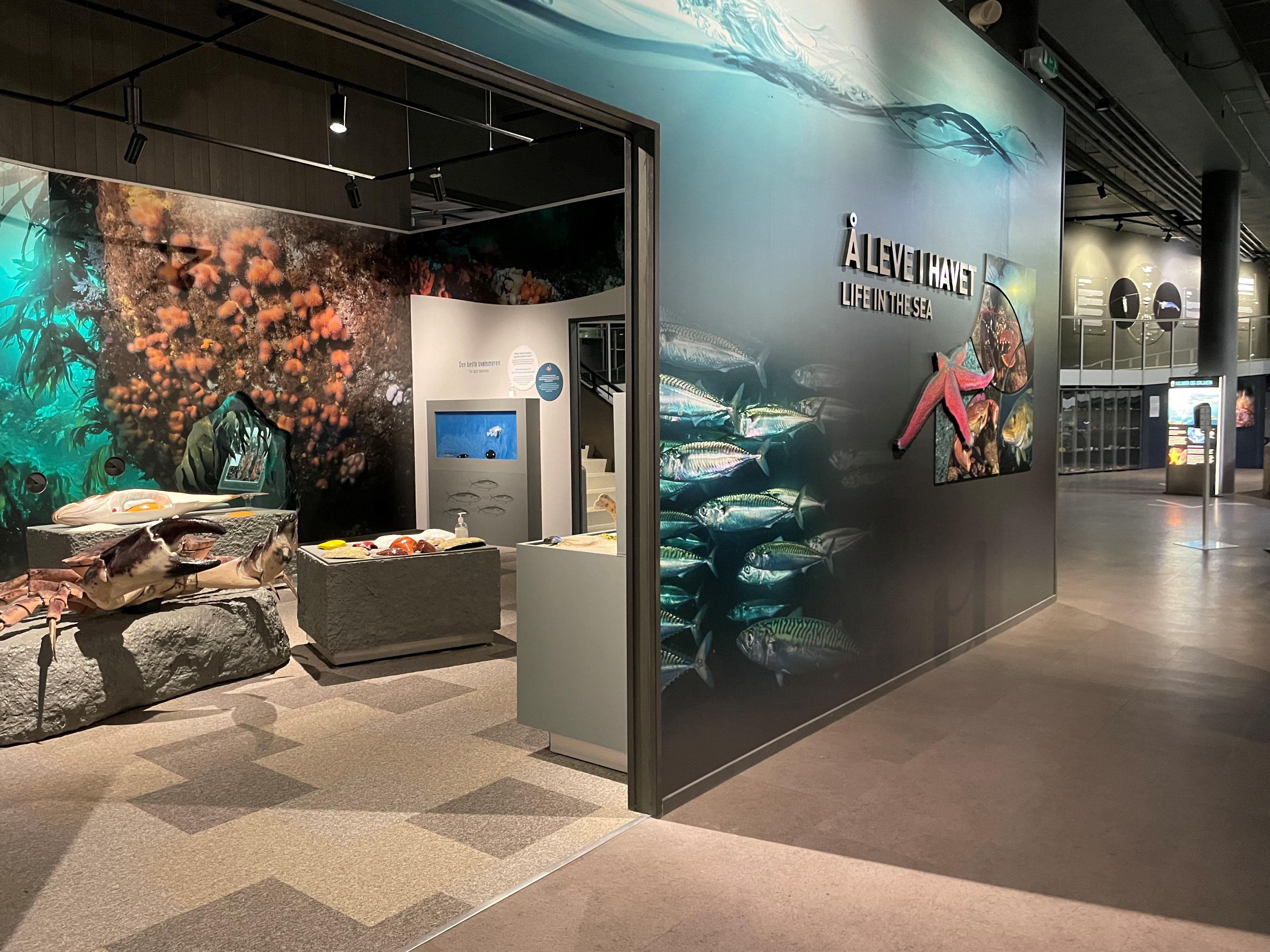 Å leve i havet - her kan du boltre deg i aktiviteter