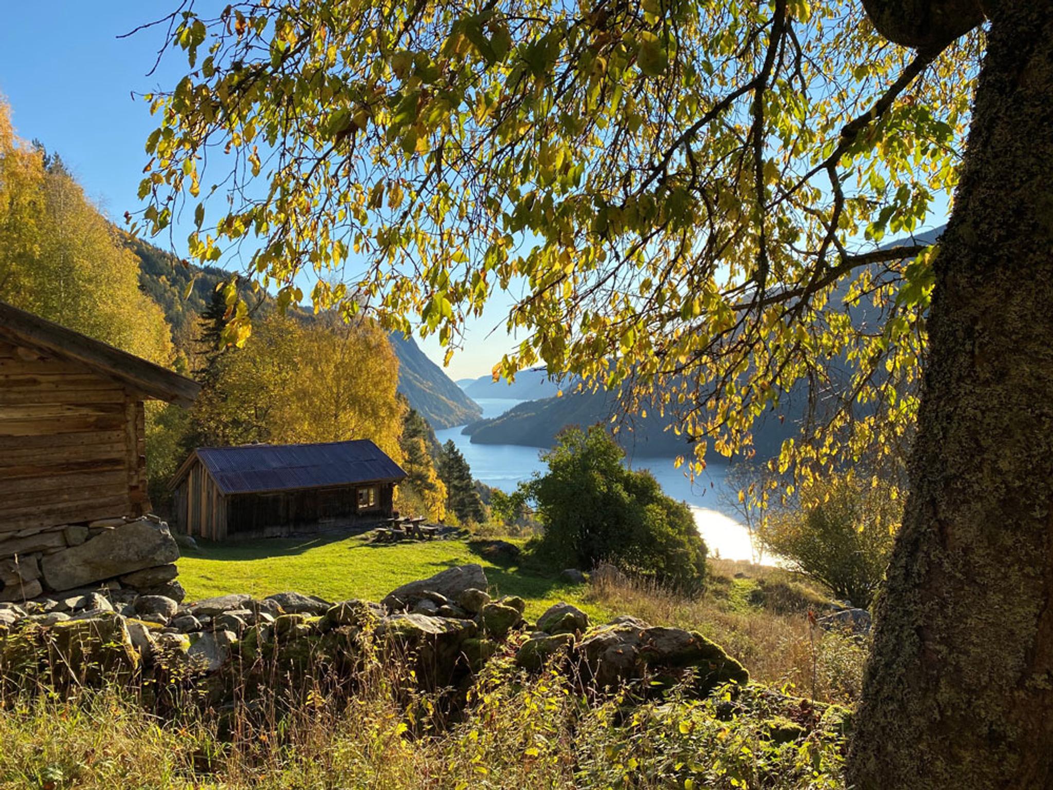 Rui haust Synne Aasland