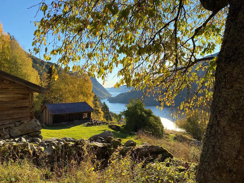 Rui haust Synne Aasland