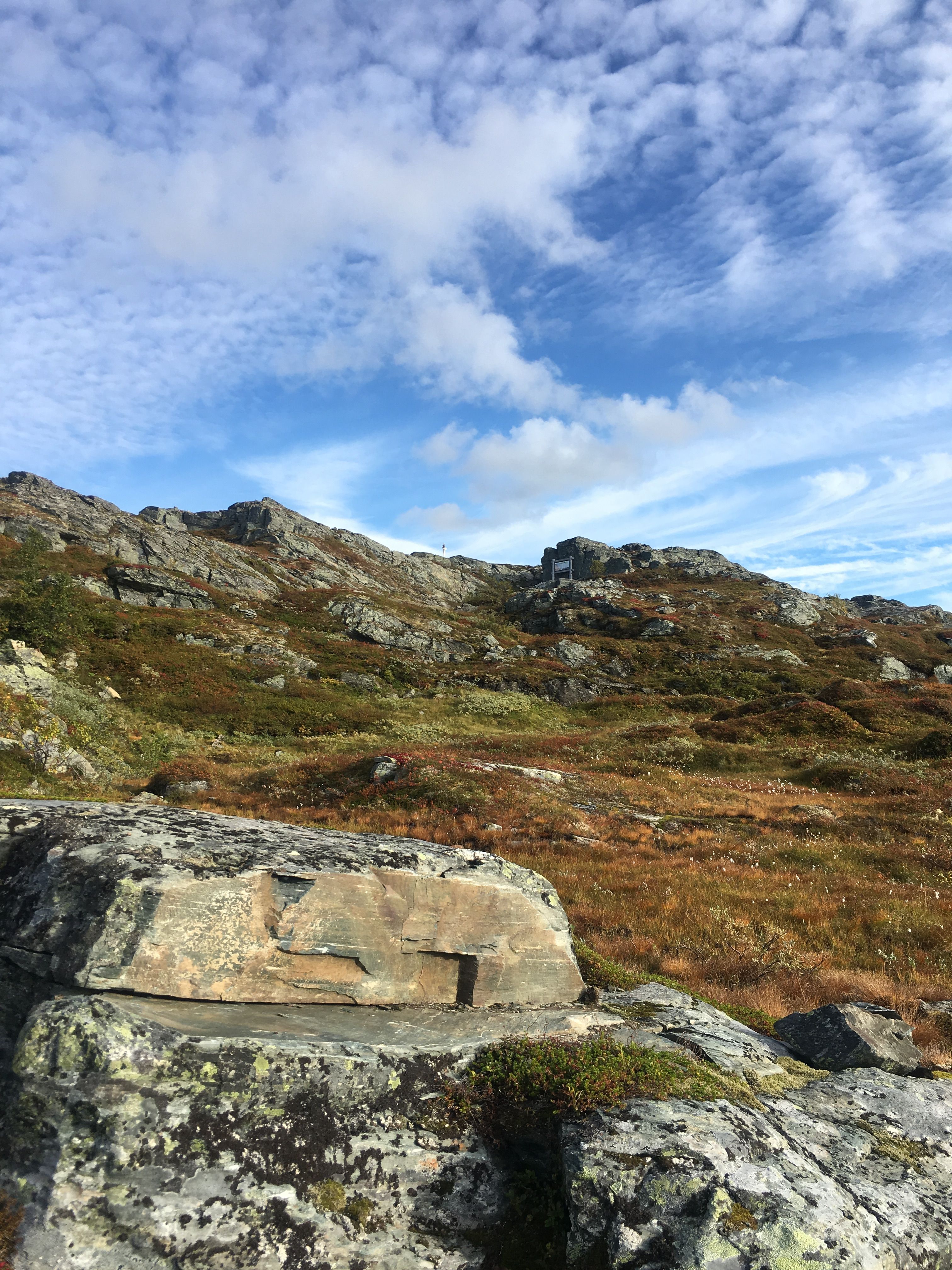 Wide mountain landscape on Hardangervidda with autumn colors under a blue sky.