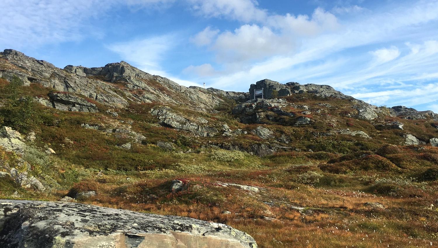 Wide mountain landscape on Hardangervidda with autumn colors under a blue sky.