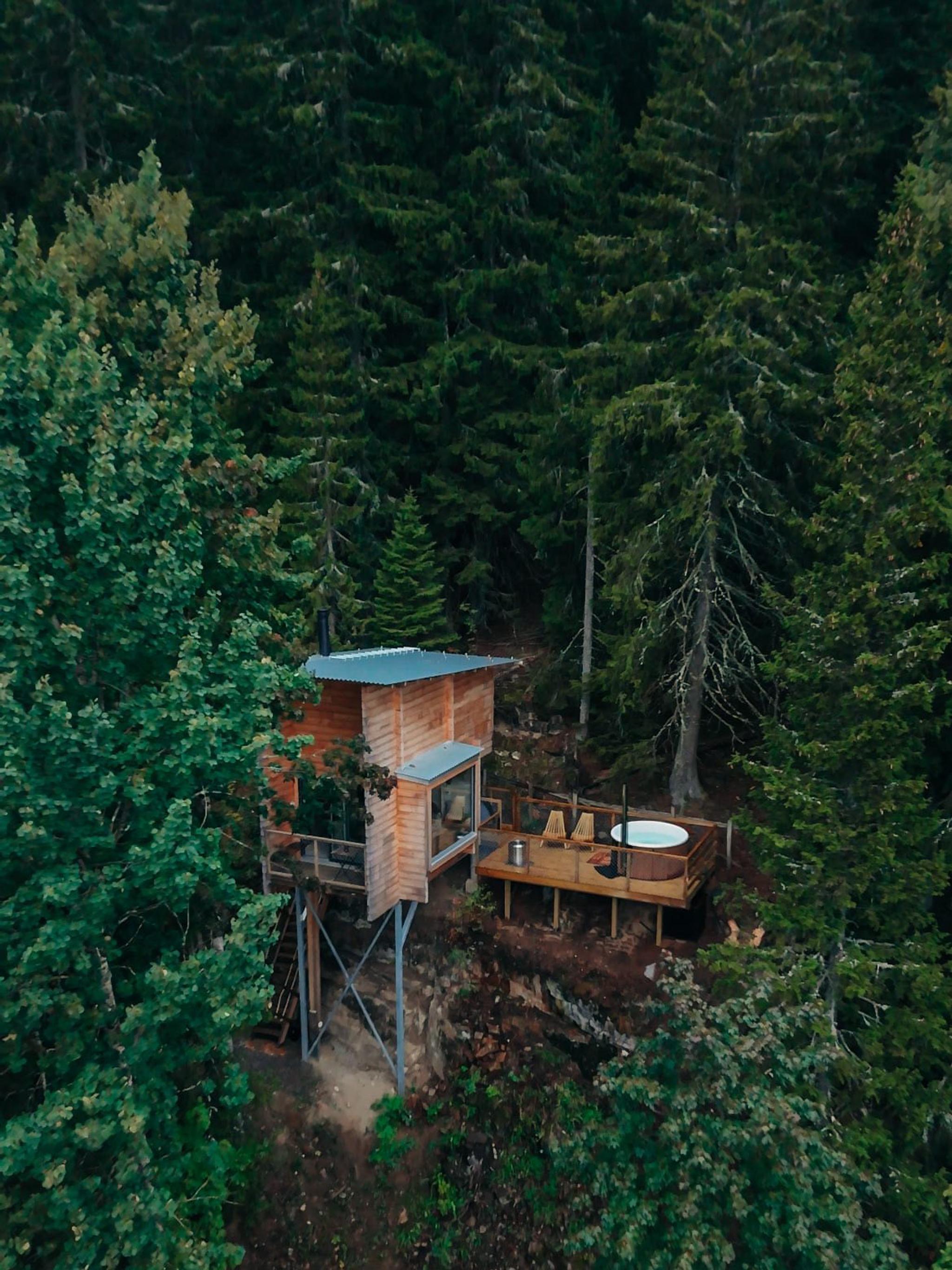 Jacuzzi with a view of the forest and meadow next to a treehouse in the trees