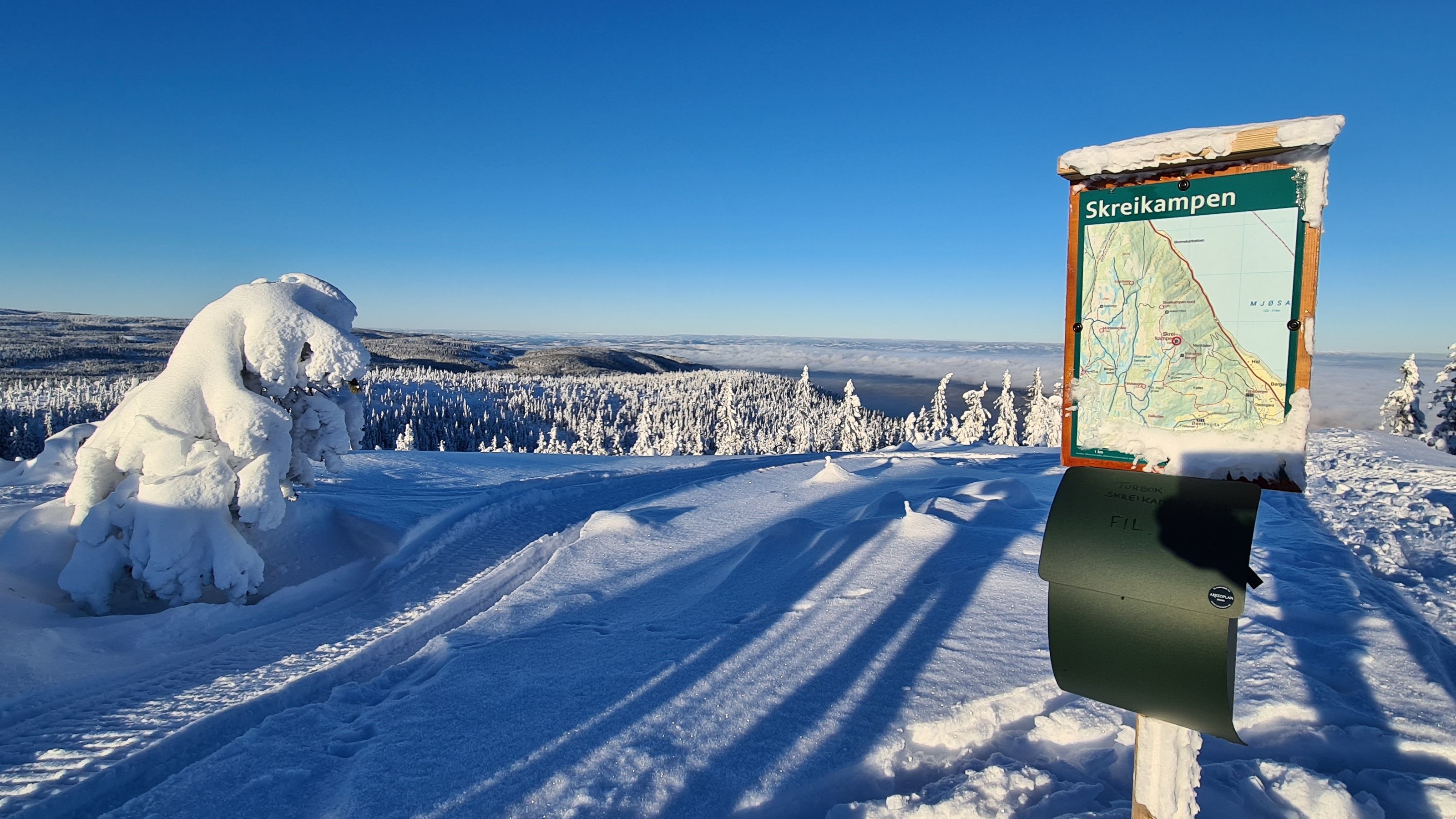 Dronegutta Skreikampen