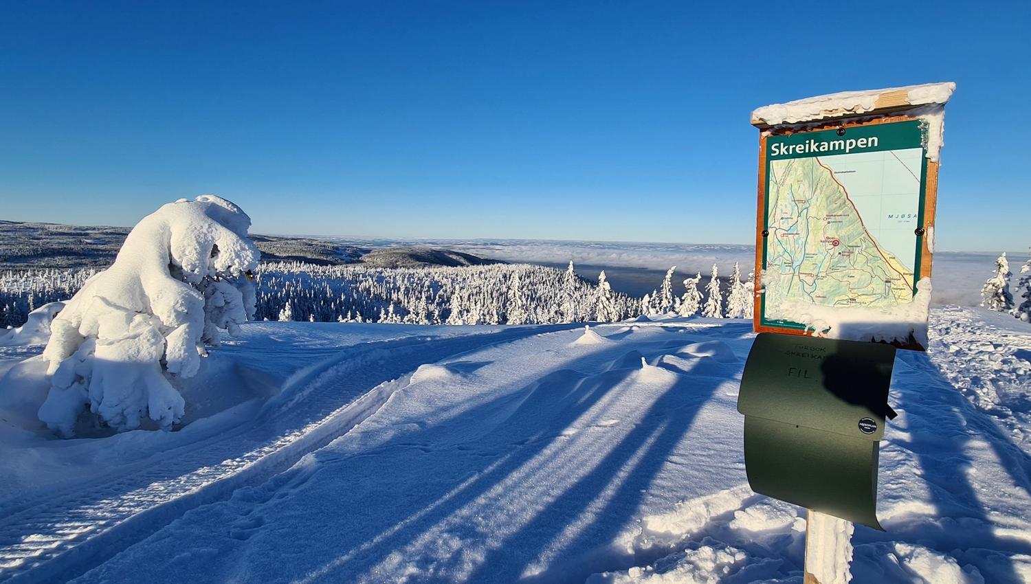 Dronegutta Skreikampen