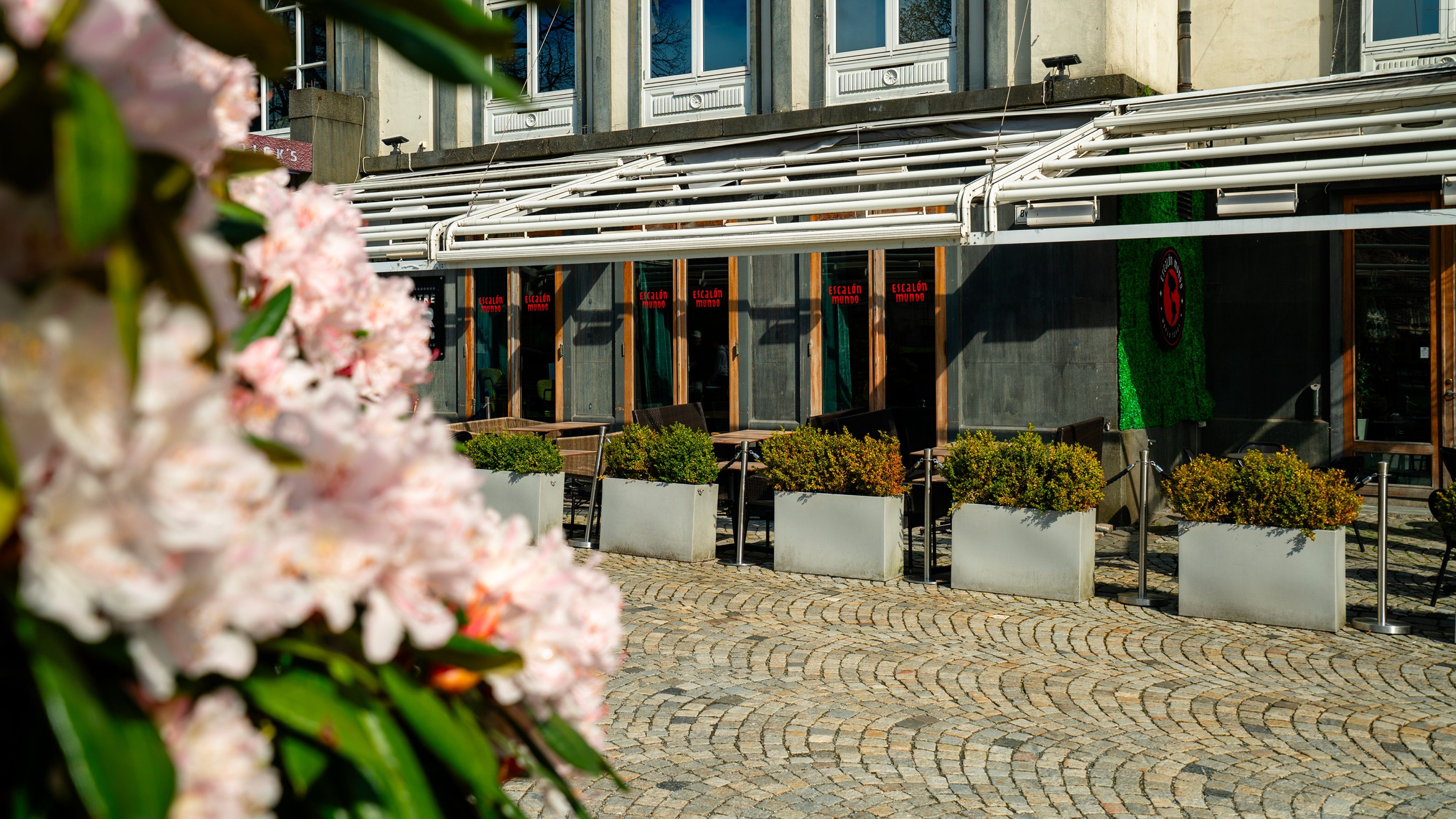 Escalón Mundo Veiten