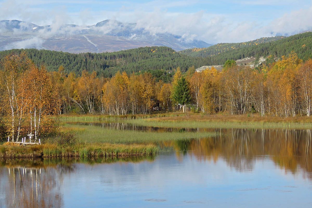 web_Lomendelta_IMG_9554