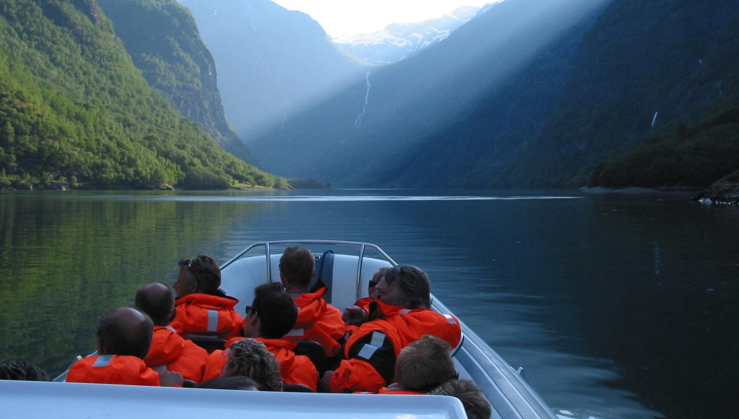 Fjord safari