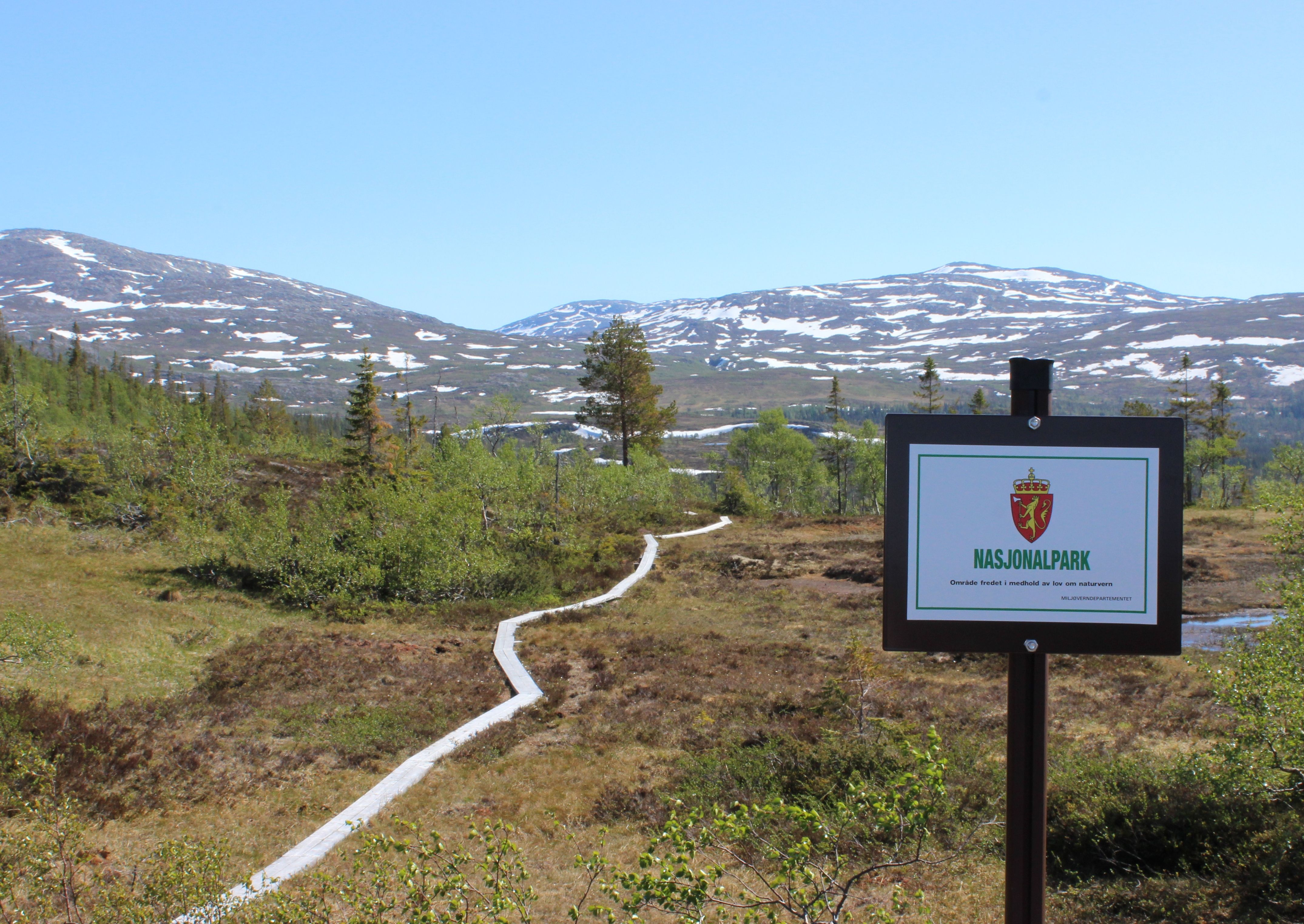 Grensa til Børgefjell nasjonalpark i Namsskogan, Namdalen. Foto: Namsskogan Fjellstyre