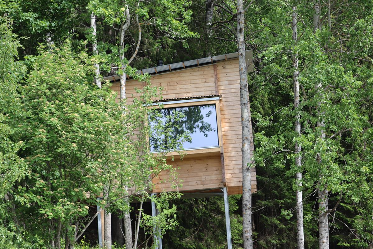 Small wooden cabin surrounded by dense green forest, featuring a large window that reflects the surroundings.