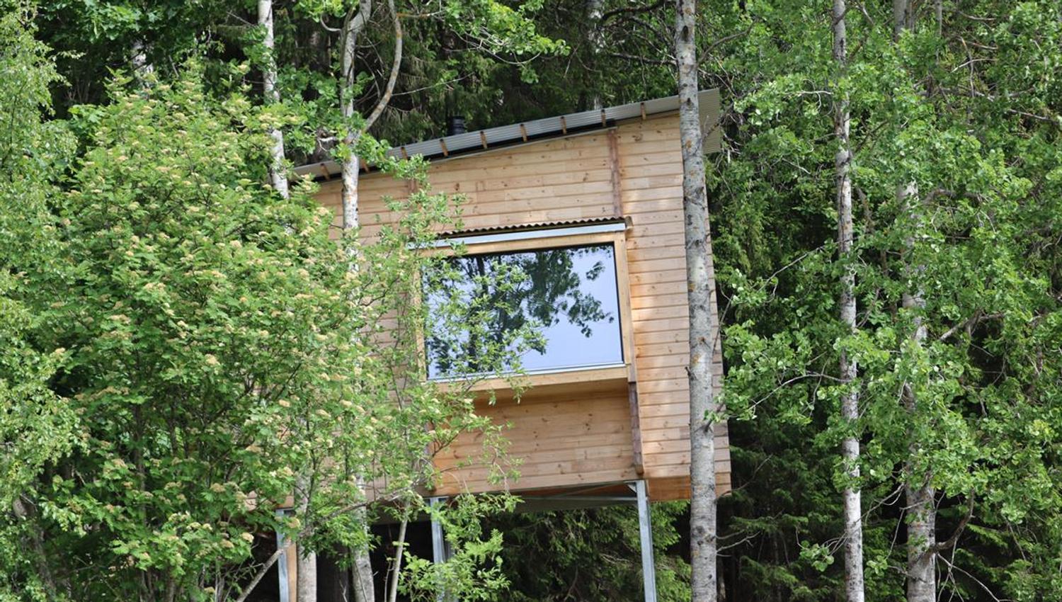 Small wooden cabin surrounded by dense green forest, featuring a large window that reflects the surroundings.