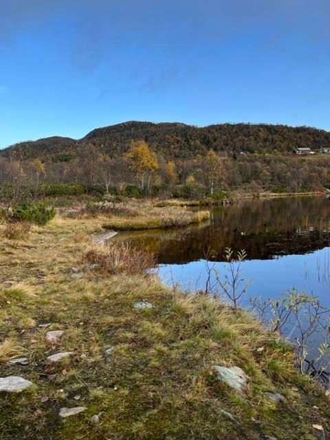 Fiske på Rauland