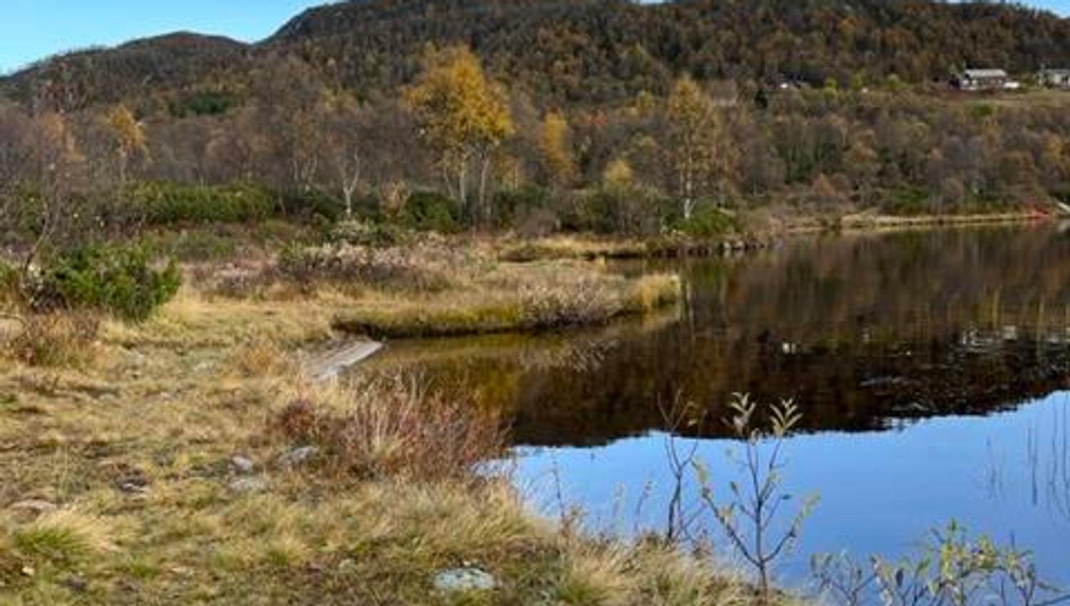 Fiske på Rauland
