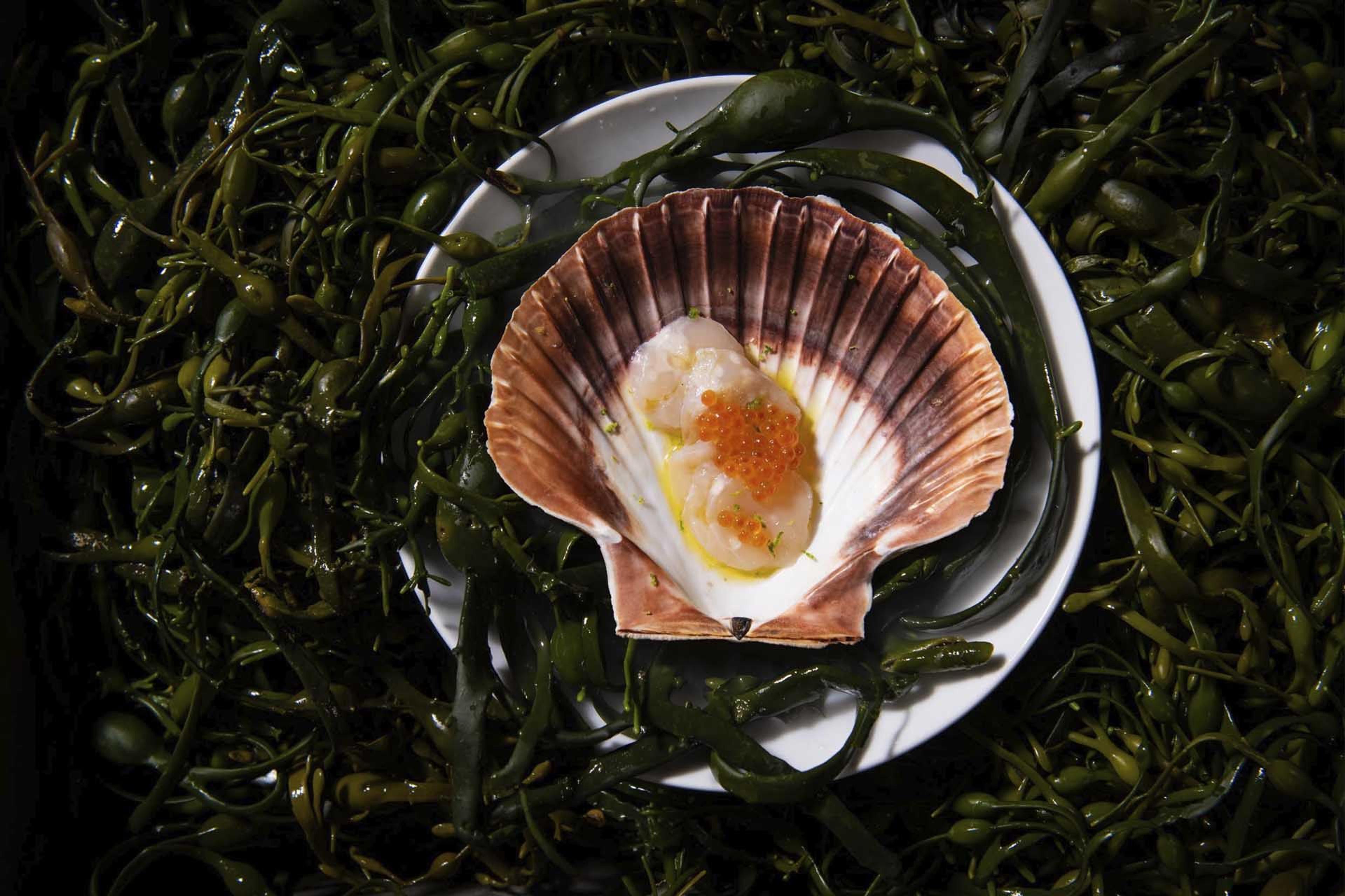 European Region of Gastronomy