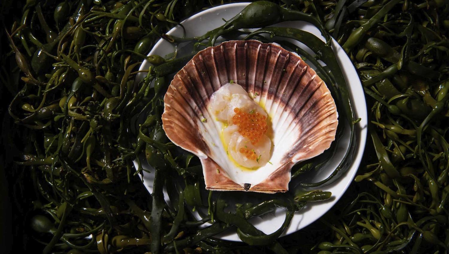 European Region of Gastronomy