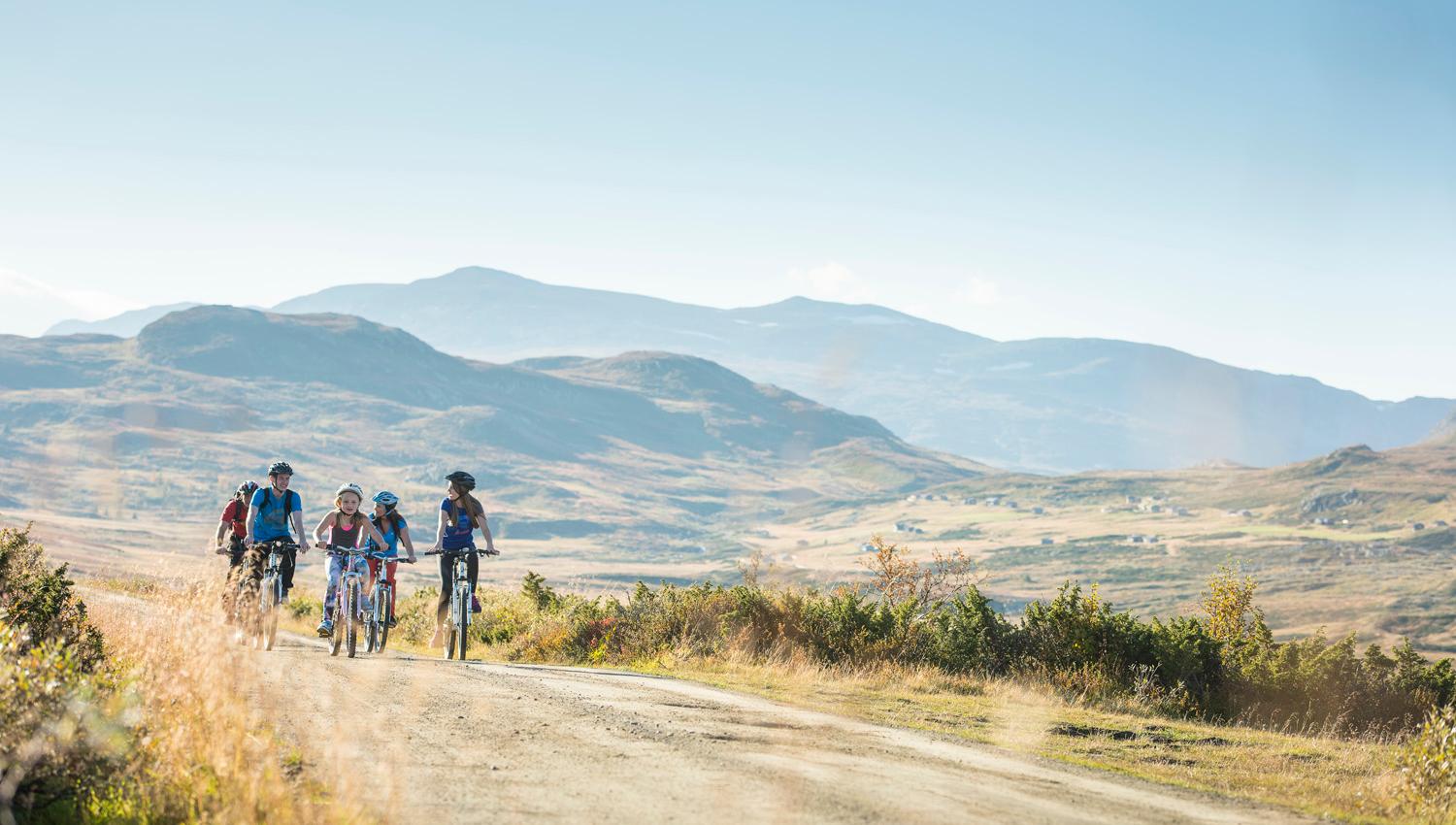 Bike & Hike Dyna