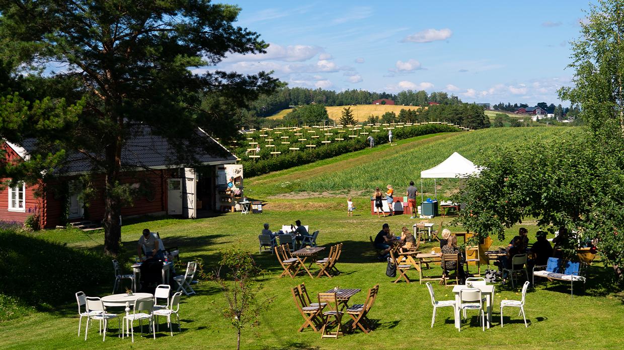 Sommerdag i Homlas Hage