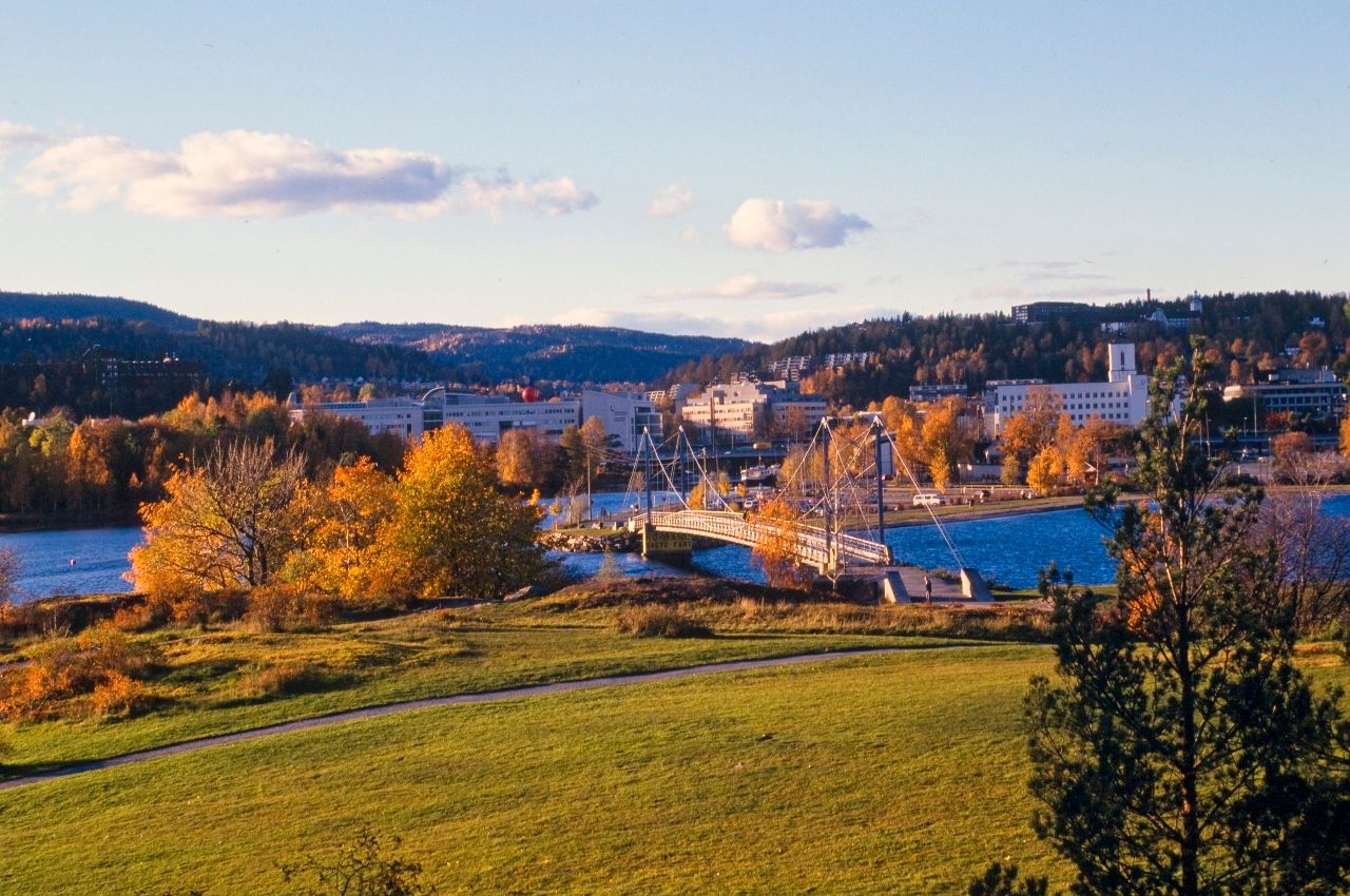 Kalvøya i høstskrud