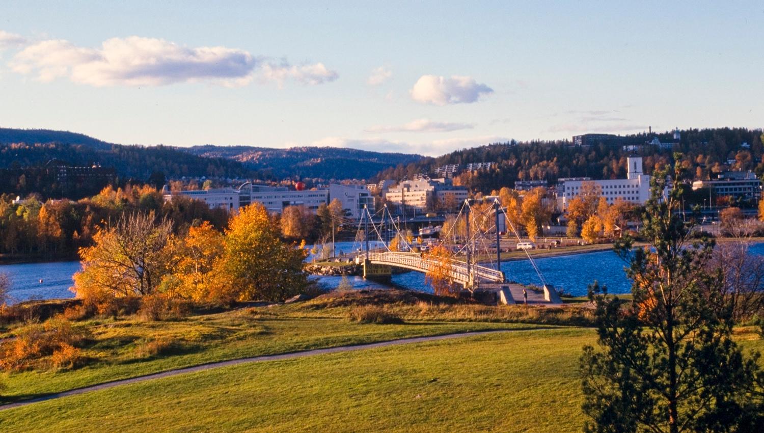 Kalvøya i høstskrud