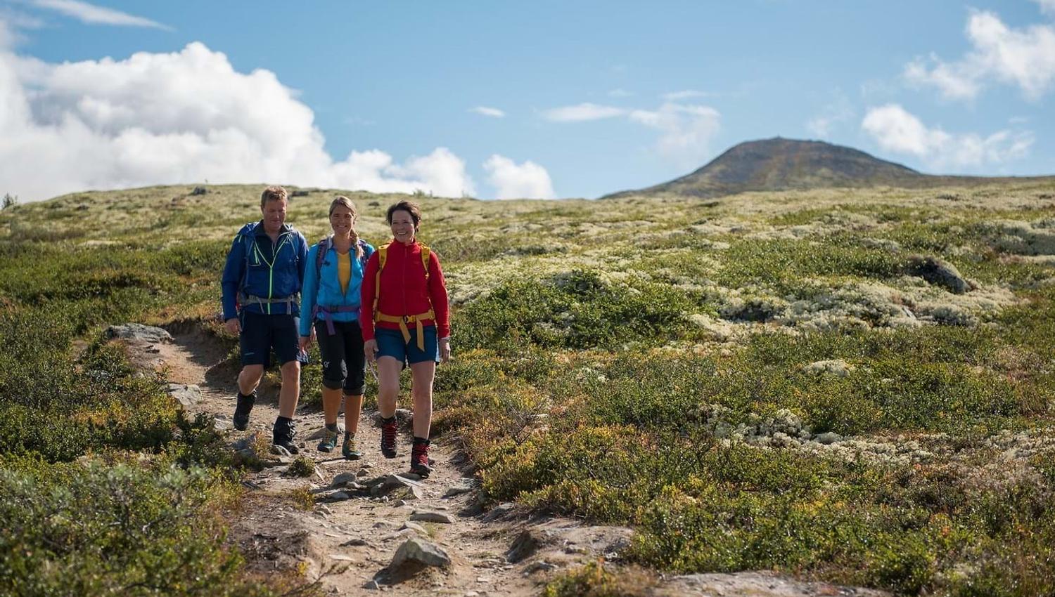 Hike Rondane