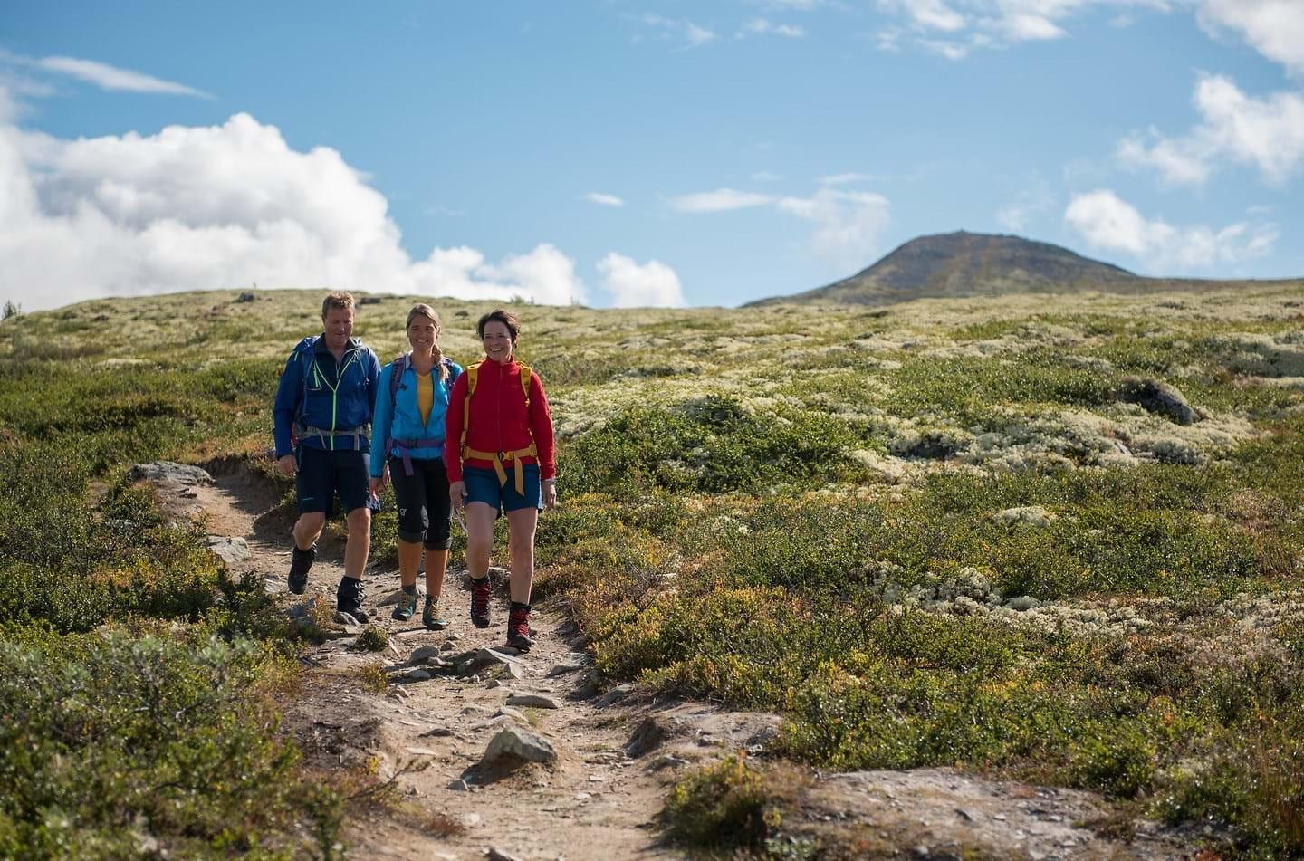 Fottur Hovringen Yngve Ask Scanout