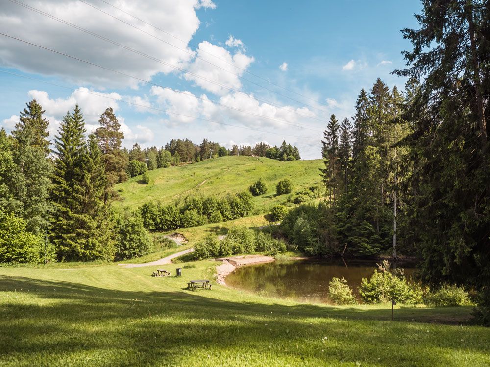 hiking area in Skien leisure park with lawn benches and a pond