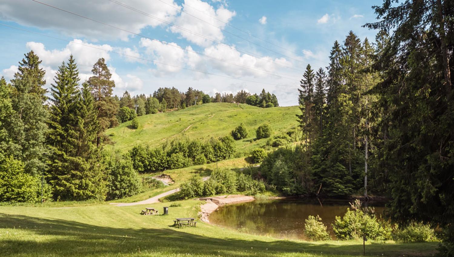 hiking area in Skien leisure park with lawn benches and a pond
