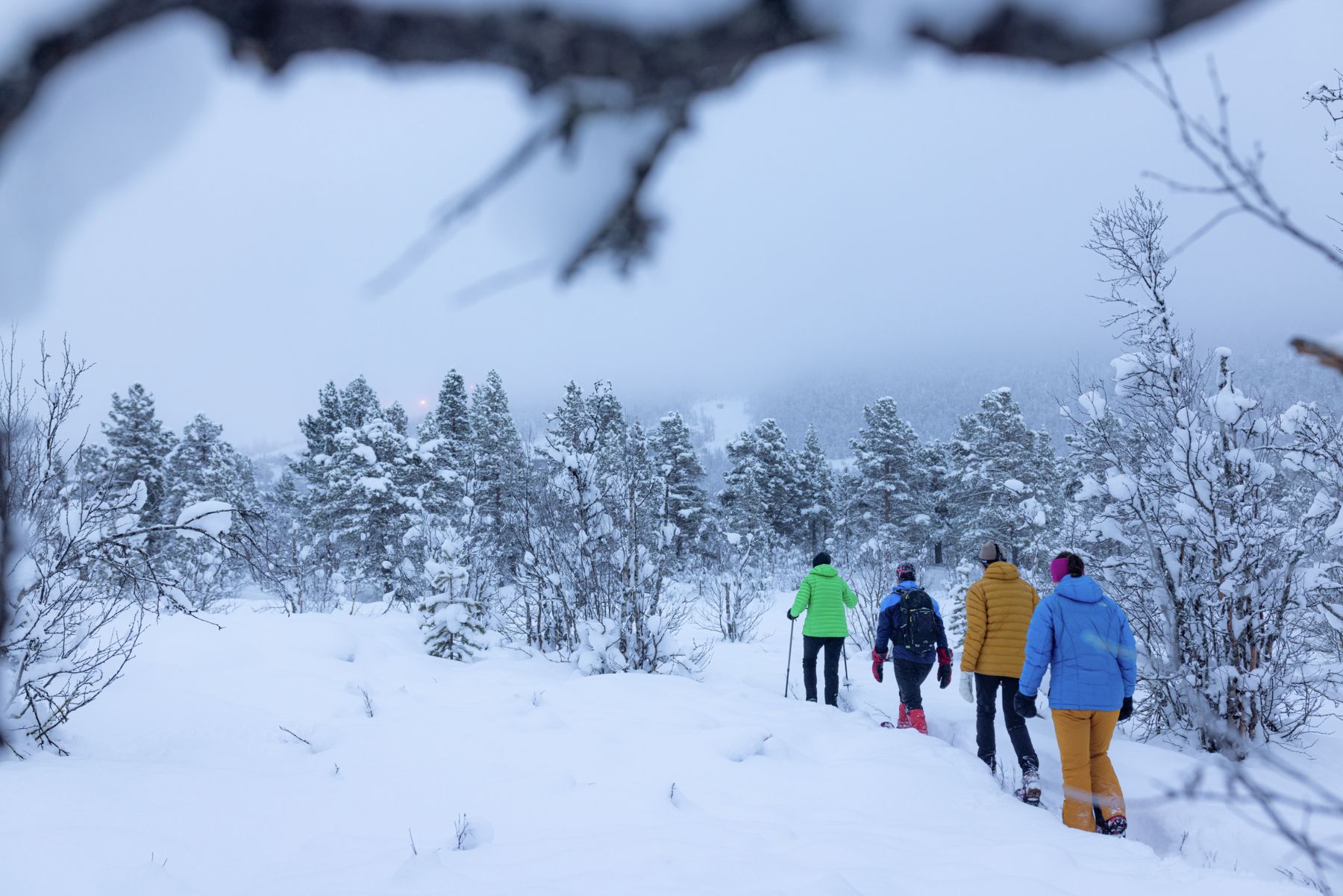 Trugetur på fjellet