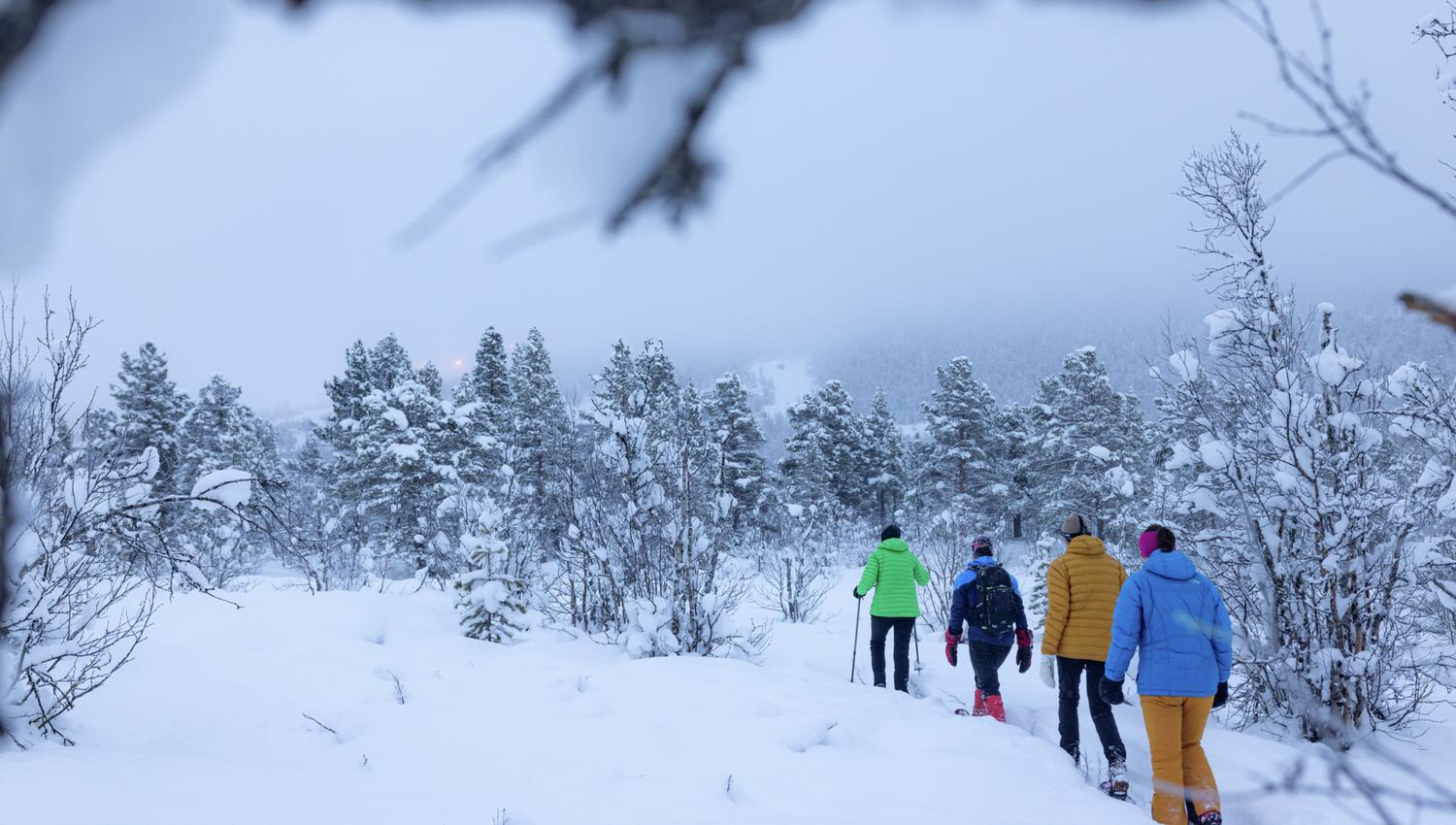 Trugetur på fjellet