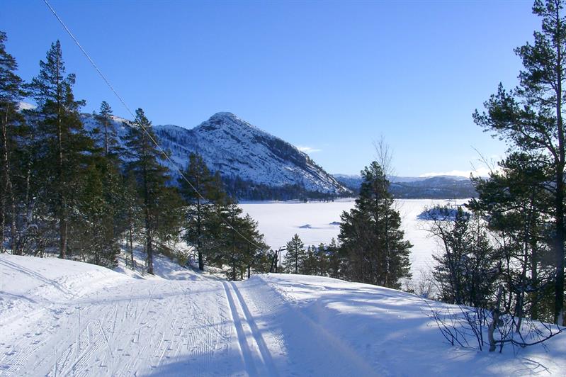 Skispor for klassisk og skøyting, bilde