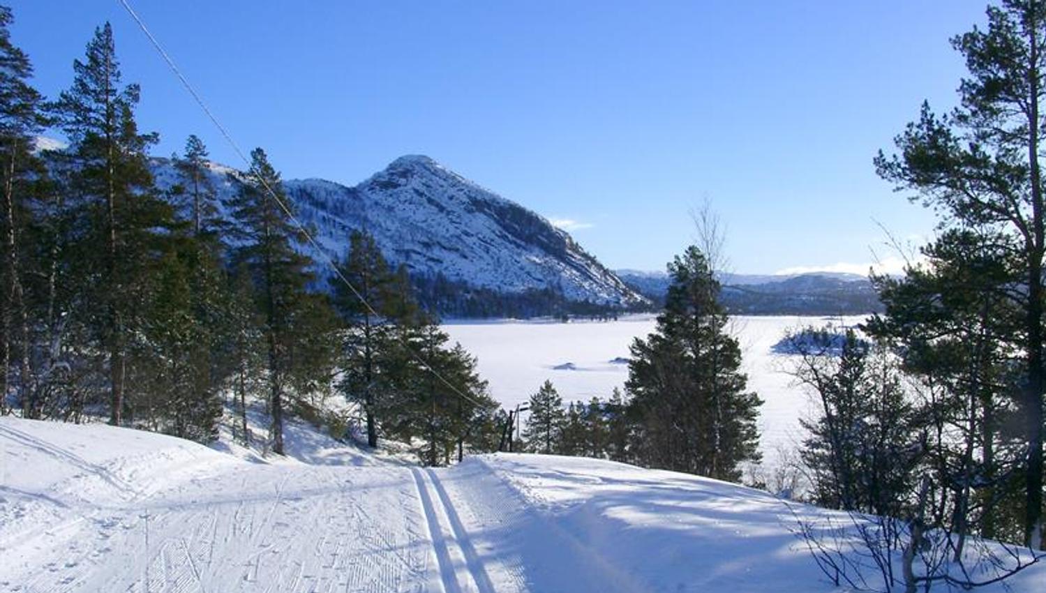 Skispor for klassisk og skøyting, bilde